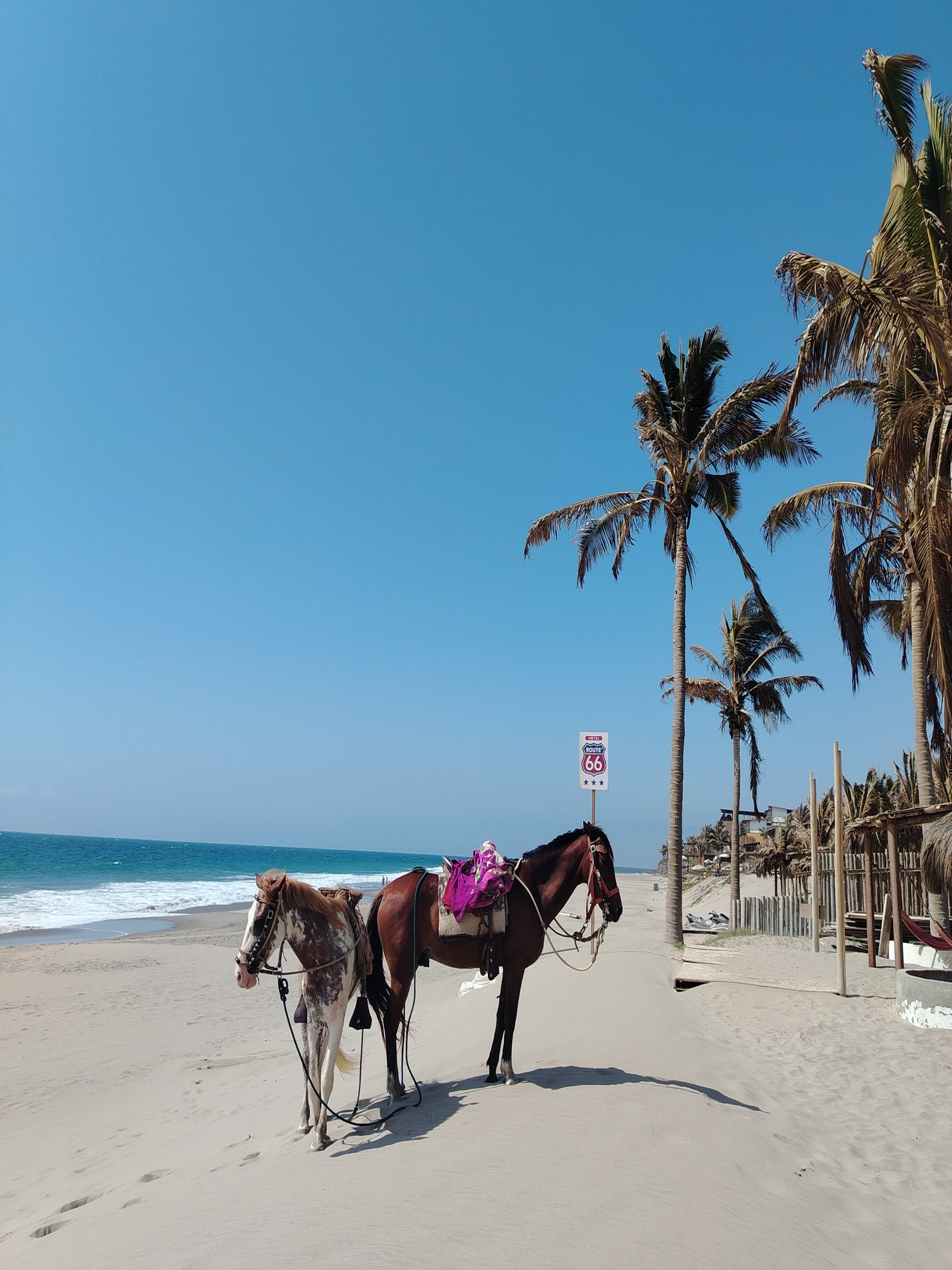 Reserva "Hoster.Click" Inmediata